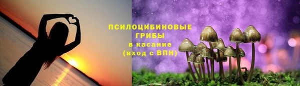 не бодяженный Магас