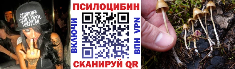 Галлюциногенные грибы Psilocybe  Екатеринбург 