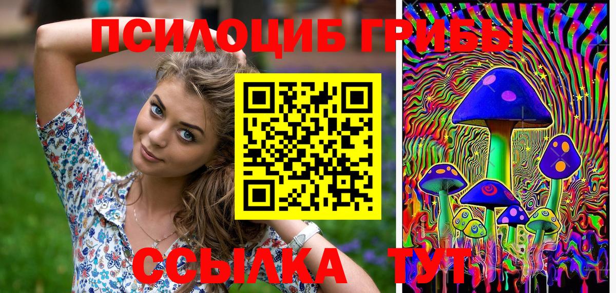 купить наркотики сайты  Вход с VPN  Екатеринбург  Галлюциногенные грибы мухоморы  Псилоцибиновые грибы MAGIC MUSHROOMS 