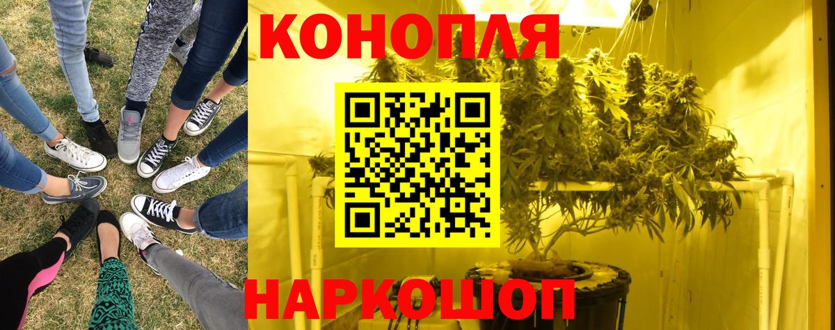 Каннабис ГИДРОПОН  Каннабис конопля  Вход с VPN  Екатеринбург 